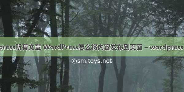 wordpress所有文章 WordPress怎么将内容发布到页面 – wordpress – 前端