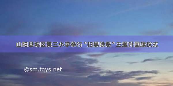 山阳县城区第三小学举行“扫黑除恶”主题升国旗仪式