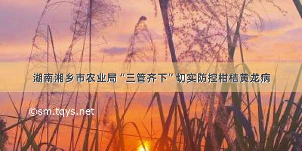 湖南湘乡市农业局“三管齐下”切实防控柑桔黄龙病