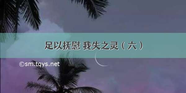 足以抚慰 我失之灵（六）