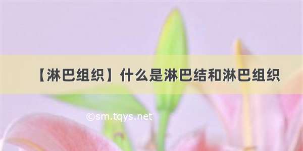 【淋巴组织】什么是淋巴结和淋巴组织