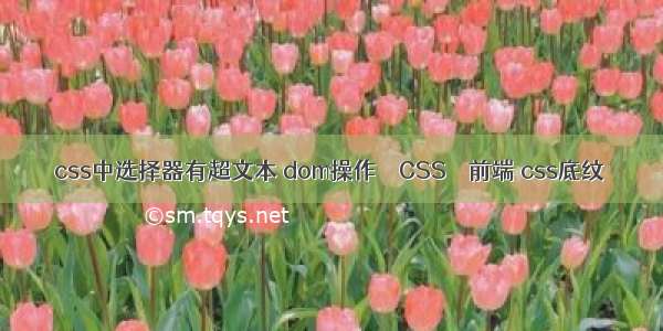 css中选择器有超文本 dom操作 – CSS – 前端 css底纹