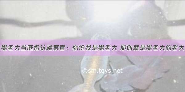 黑老大当庭指认检察官：你说我是黑老大 那你就是黑老大的老大