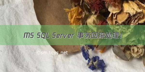 MS SQL Server 事务回滚处理！