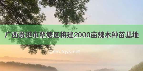 广西贵港市覃塘区将建2000亩辣木种苗基地