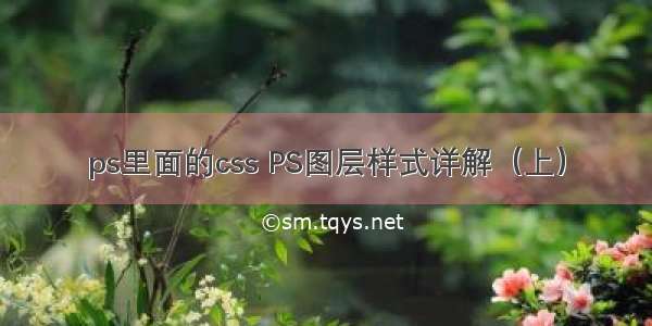 ps里面的css PS图层样式详解（上）