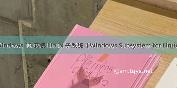 Windows 10 安装 Linux 子系统（Windows Subsystem for Linux）