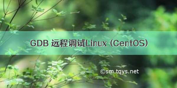 GDB 远程调试Linux (CentOS)