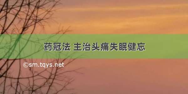 药冠法 主治头痛失眠健忘