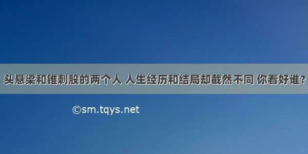 头悬梁和锥刺股的两个人 人生经历和结局却截然不同 你看好谁？