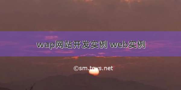 wap网站开发实例 web实例