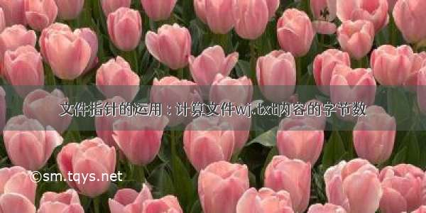 文件指针的运用 : 计算文件wj.txt内容的字节数