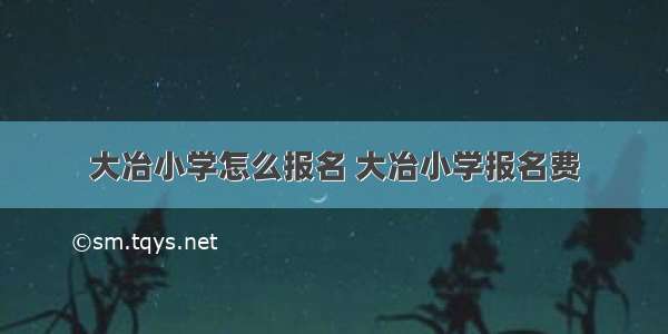 大冶小学怎么报名 大冶小学报名费