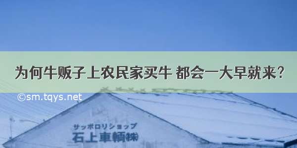 为何牛贩子上农民家买牛 都会一大早就来？