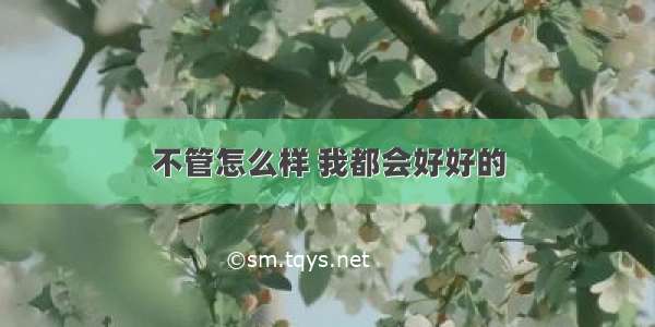 不管怎么样 我都会好好的