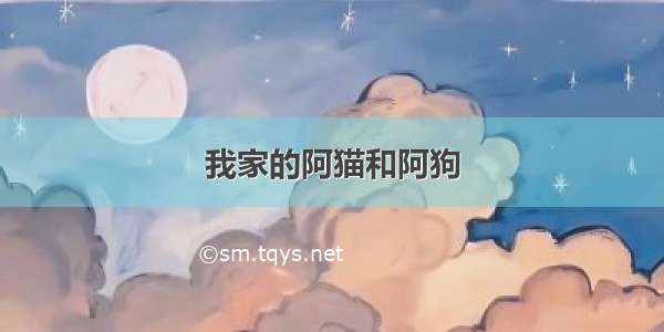 我家的阿猫和阿狗