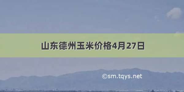 山东德州玉米价格4月27日