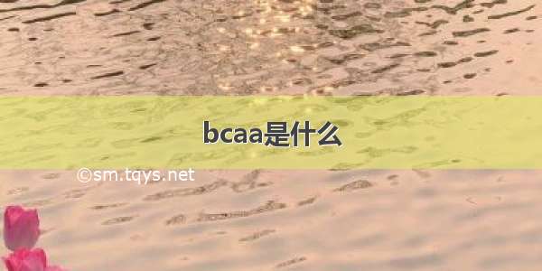 bcaa是什么