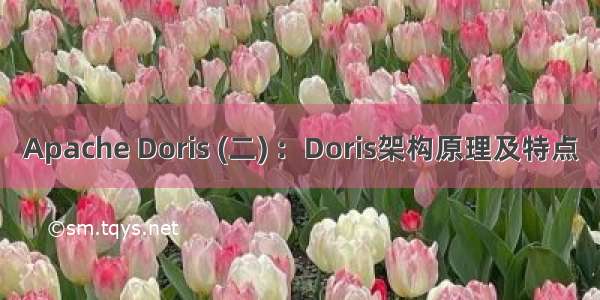 Apache Doris (二) ：Doris架构原理及特点