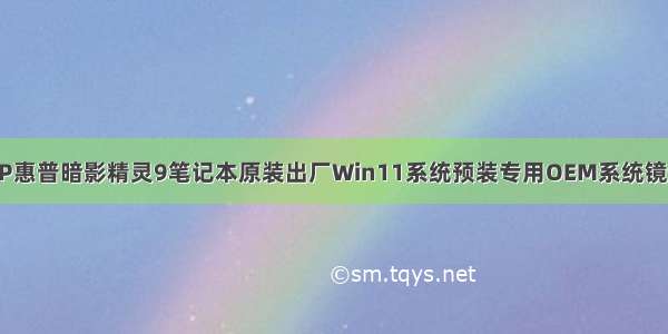 HP惠普暗影精灵9笔记本原装出厂Win11系统预装专用OEM系统镜像