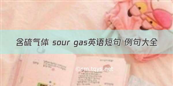 含硫气体 sour gas英语短句 例句大全