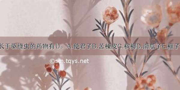 长于驱绦虫的药物有()。A.使君子B.苦楝皮C.槟榔D.南瓜子E.榧子