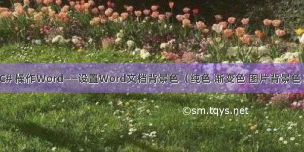 C# 操作Word——设置Word文档背景色（纯色 渐变色 图片背景色）