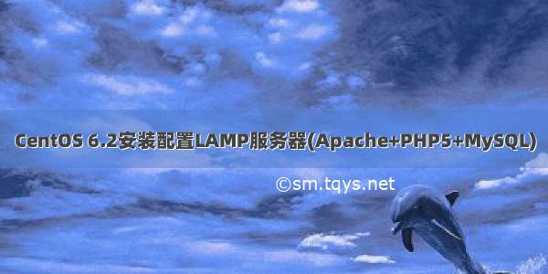 CentOS 6.2安装配置LAMP服务器(Apache+PHP5+MySQL)