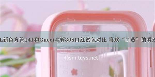 YSL新色方管141和Gucci金管308口红试色对比 喜欢“口黄”的看过来