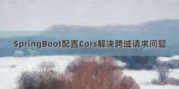SpringBoot配置Cors解决跨域请求问题