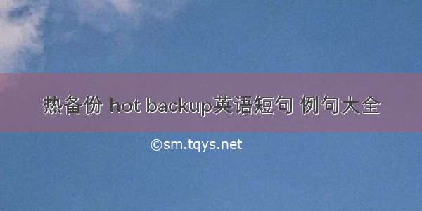 热备份 hot backup英语短句 例句大全