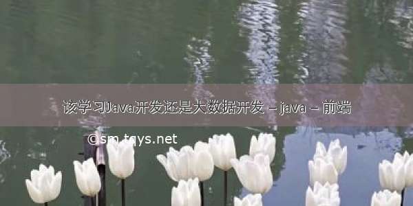 该学习Java开发还是大数据开发 – java – 前端