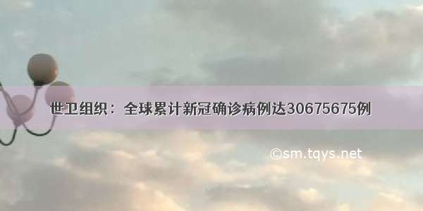 世卫组织：全球累计新冠确诊病例达30675675例