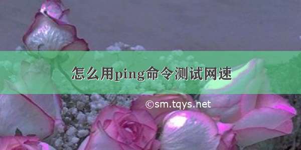 怎么用ping命令测试网速