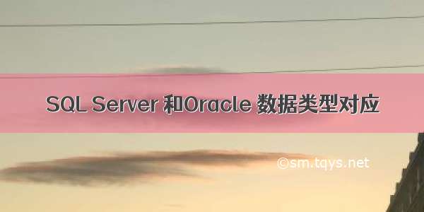 SQL Server 和Oracle 数据类型对应