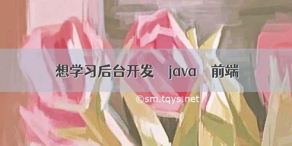 想学习后台开发 – java – 前端