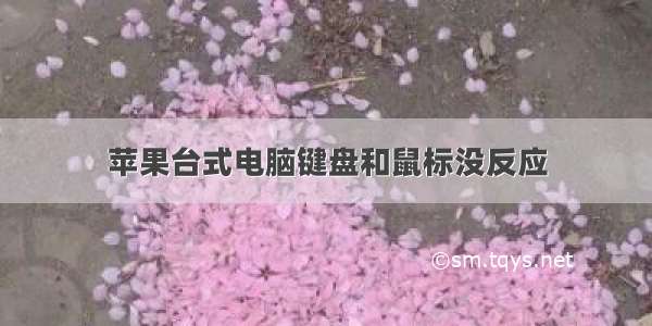 苹果台式电脑键盘和鼠标没反应