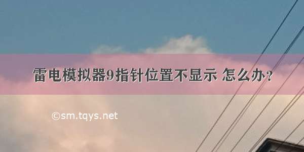 雷电模拟器9指针位置不显示 怎么办？