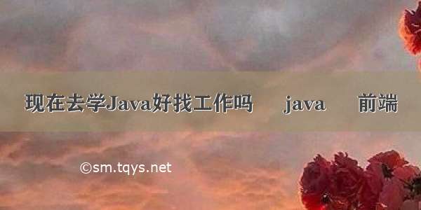 现在去学Java好找工作吗 – java – 前端