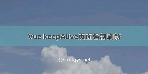 Vue keepAlive页面强制刷新