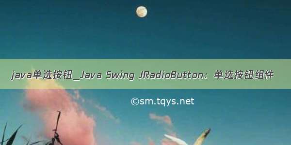 java单选按钮_Java Swing JRadioButton：单选按钮组件