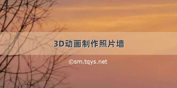 3D动画制作照片墙