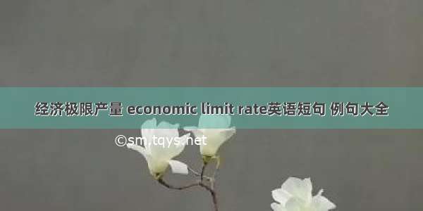 经济极限产量 economic limit rate英语短句 例句大全