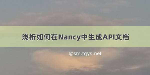 浅析如何在Nancy中生成API文档