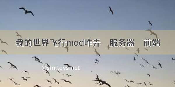 我的世界飞行mod咋弄 – 服务器 – 前端