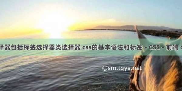 css 中的选择器包括标签选择器类选择器 css的基本语法和标签 – CSS – 前端 css选择按钮