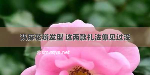 双麻花辫发型 这两款扎法你见过没