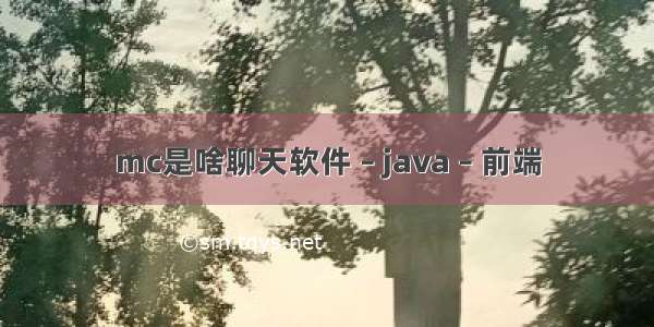 mc是啥聊天软件 – java – 前端