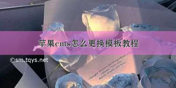 苹果cms怎么更换模板教程