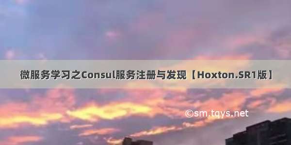 微服务学习之Consul服务注册与发现【Hoxton.SR1版】